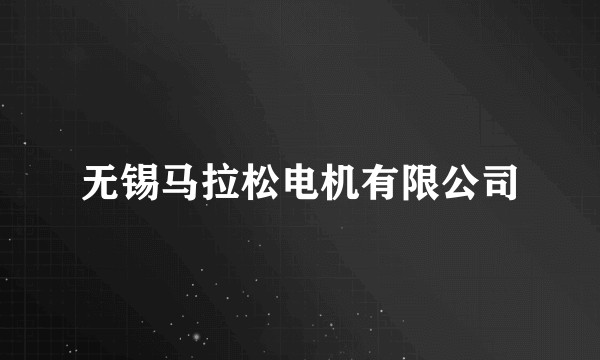 无锡马拉松电机有限公司