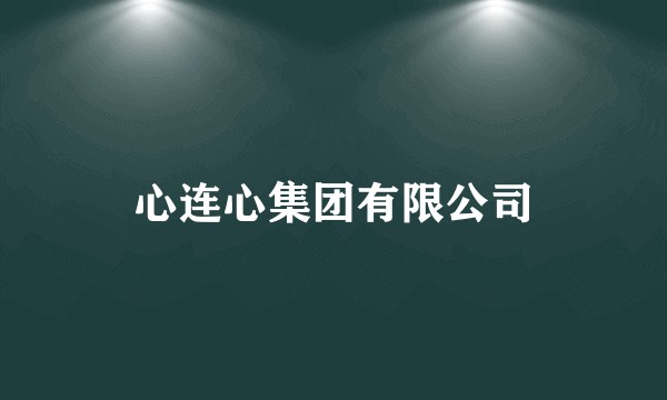 心连心集团有限公司