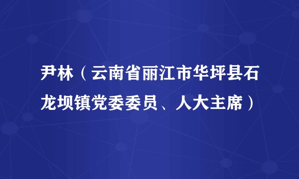 尹林（云南省丽江市华坪县石龙坝镇党委委员、人大主席）