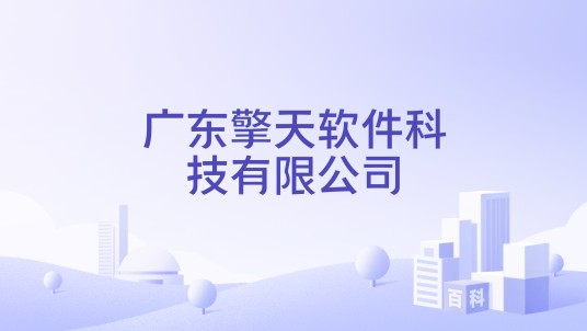 广东擎天软件科技有限公司