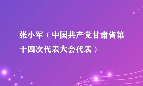张小军（中国共产党甘肃省第十四次代表大会代表）