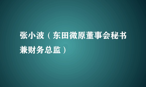 张小波(东田微原董事会秘书兼财务总监)