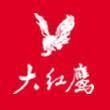 大红鹰（大红鹰集团）
