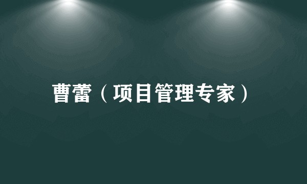 曹蕾（项目管理专家）