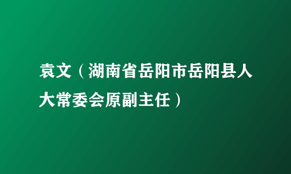 袁文(湖南省岳阳市岳阳县人大常委会原副主任)