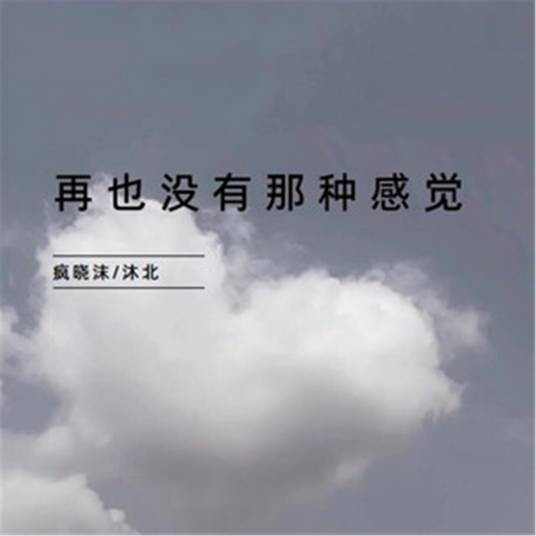 再也没有那种感觉(疯晓沫、沐北演唱的歌曲)