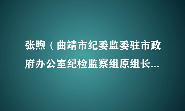 张煦（曲靖市纪委监委驻市政府办公室纪检监察组原组长、市政府办公室原党组成员）