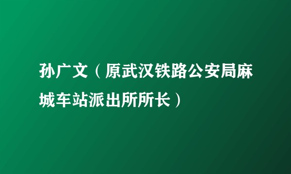 孙广文（原武汉铁路公安局麻城车站派出所所长）