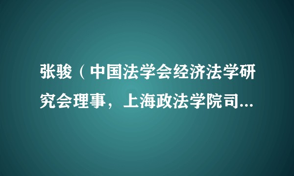 张骏（中国法学会经济法学研究会理事，上海政法学院司法研究所教授）