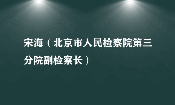 宋海（北京市人民检察院第三分院副检察长）
