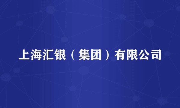 上海汇银（集团）有限公司