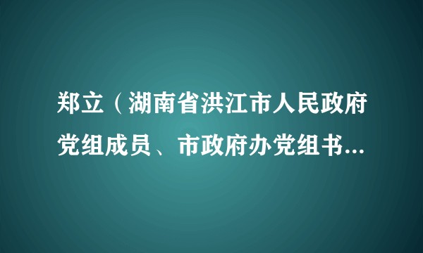 郑立(湖南省洪江市人民政府党组成员、市政府办党组书记、主任、三级调研员)