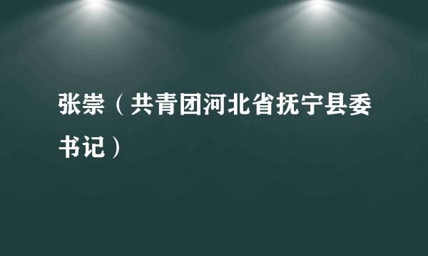 张崇（共青团河北省抚宁县委书记）