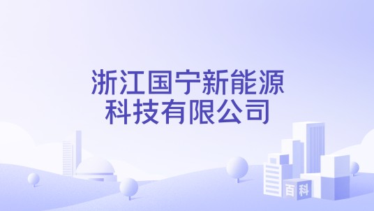 浙江国宁新能源科技有限公司