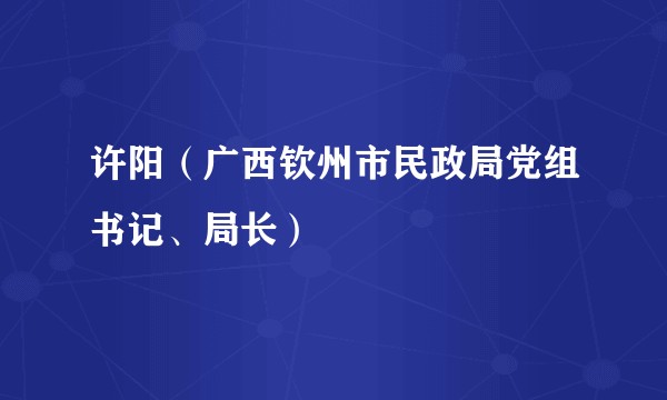 许阳(广西钦州市民政局党组书记、局长)