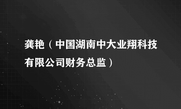 龚艳（中国湖南中大业翔科技有限公司财务总监）