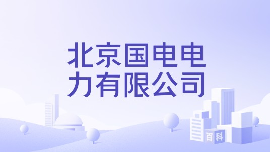 北京国电电力有限公司
