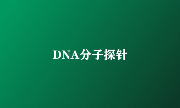 DNA分子探针
