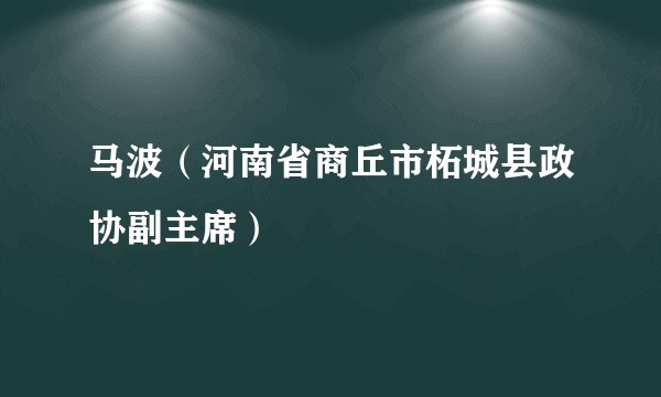 马波(河南省商丘市柘城县政协副主席)