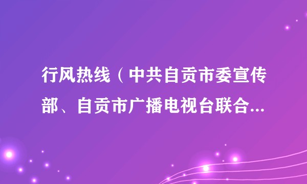 行风热线(中共自贡市委宣传部、自贡市广播电视台联合开办的电台直播节目)