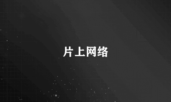 片上网络