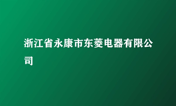 浙江省永康市东菱电器有限公司