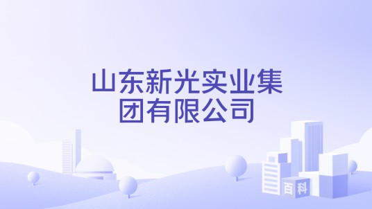 山东新光实业集团有限公司