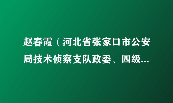 赵春霞(河北省张家口市公安局技术侦察支队政委、四级高级警长)