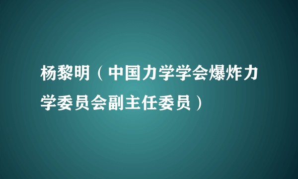 杨黎明（中国力学学会爆炸力学委员会副主任委员）