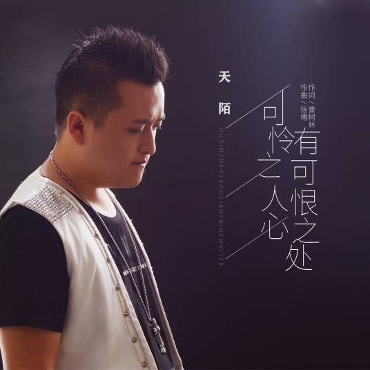 可怜之人必有可恨之处（天陌演唱的流行风格歌曲）