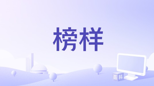 榜样（刘飞导演的微电影）