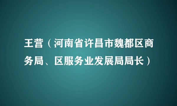 王营（河南省许昌市魏都区商务局、区服务业发展局局长）
