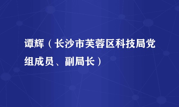 谭辉（长沙市芙蓉区科技局党组成员、副局长）