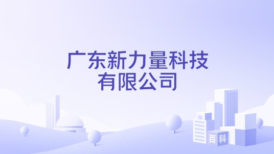 广东新力量科技有限公司
