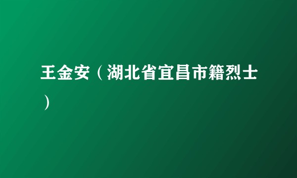 王金安（湖北省宜昌市籍烈士）