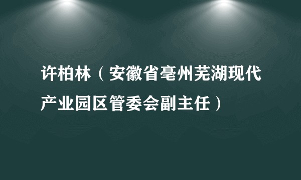 许柏林（安徽省亳州芜湖现代产业园区管委会副主任）