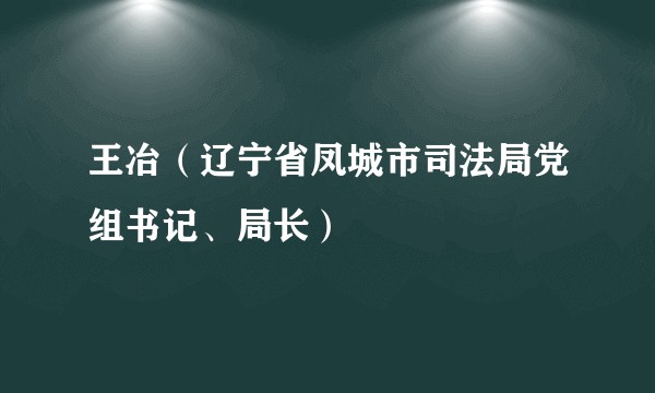 王冶（辽宁省凤城市司法局党组书记、局长）