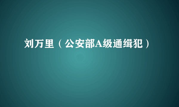 刘万里（公安部A级通缉犯）