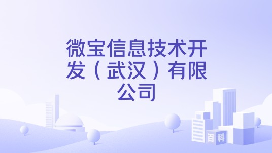 微宝信息技术开发（武汉）有限公司