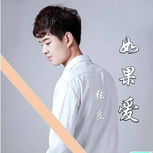 如果爱（张良2020年演唱的歌曲）