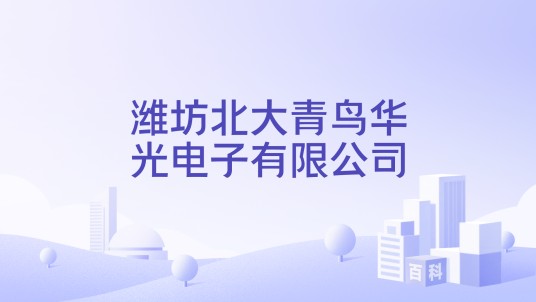 潍坊北大青鸟华光电子有限公司