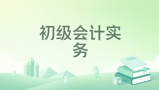 初级会计实务（2014年清华大学出版社出版的图书）