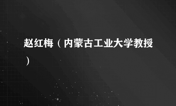 赵红梅（内蒙古工业大学教授）