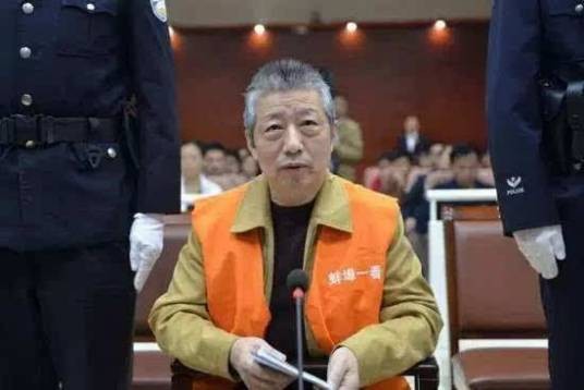 李真（中国安徽省康源电力集团原董事长）