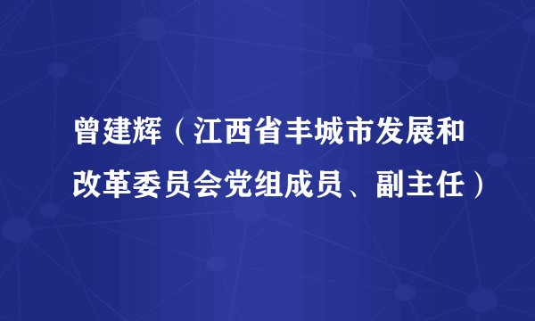 曾建辉（江西省丰城市发展和改革委员会党组成员、副主任）