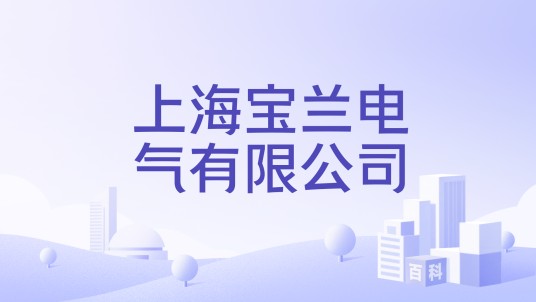 上海宝兰电气有限公司