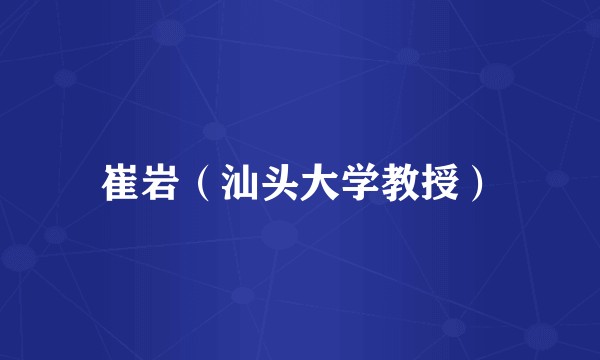 崔岩（汕头大学教授）