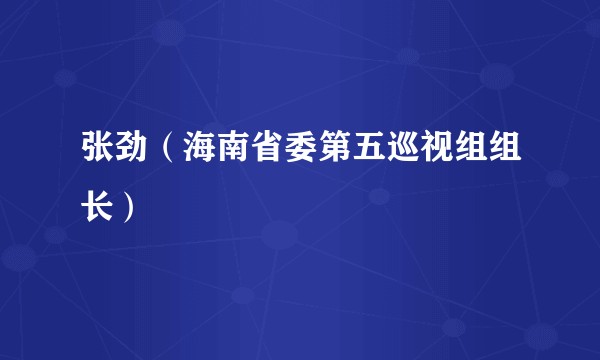 张劲（海南省委第五巡视组组长）