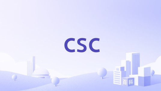 csc（2006年美国的服务外包企业）