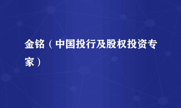 金铭(中国投行及股权投资专家)